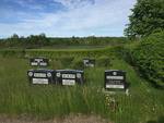 Whitney Pier Jewish Cemetery photo 3