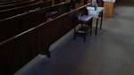 St. Mary's Polish Church 3D Synth Photographs (370)