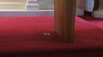 St. Mary's Polish Church 3D Synth Photographs (670)