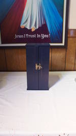 St. Mary's Polish Church 3D Synth Photographs (1231)