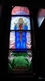 St. Mary's Polish Church 3D Synth Photographs (1303)