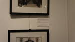 Mnohaya'lita Exhibit Lyceum 3D Synth Photographs (126)