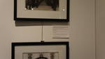 Mnohaya'lita Exhibit Lyceum 3D Synth Photographs (126)