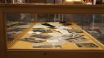 Mnohaya'lita Exhibit Lyceum 3D Synth Photographs (220)