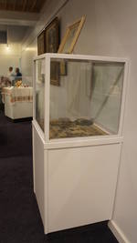 Mnohaya'lita Exhibit Lyceum 3D Synth Photographs (394)