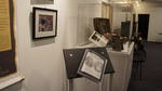 Mnohaya'lita Exhibit Lyceum 3D Synth Photographs (2700)