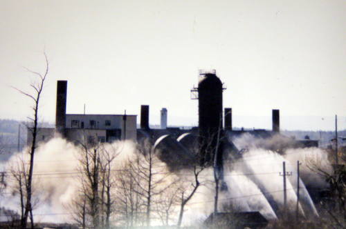 The demolition of the Steel Plant was photographed by Frank Starzomski and included in his family's scrapbook album commemorating his father Joseph Starzomski..