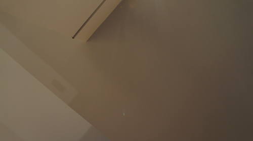 Mnohaya'lita Exhibit Lyceum 3D Synth Photographs (1248)