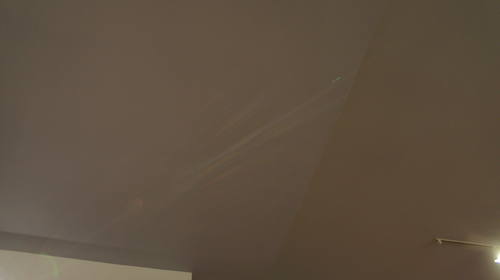 Mnohaya'lita Exhibit Lyceum 3D Synth Photographs (1469)