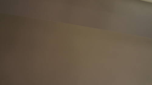 Mnohaya'lita Exhibit Lyceum 3D Synth Photographs (1513)