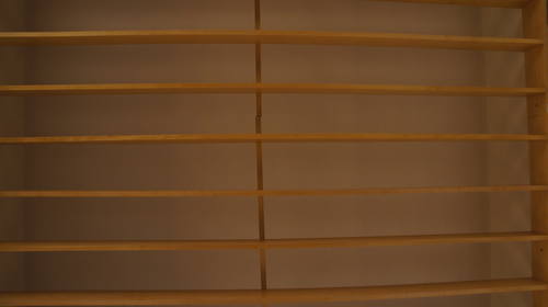 Mnohaya'lita Exhibit Lyceum 3D Synth Photographs (1964)