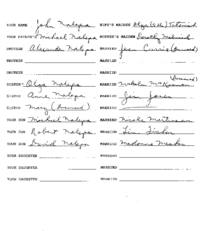 Family genealogical records of John Nalepa, including wife’s maiden name, brother, sister and their spouses' information as well as any children.